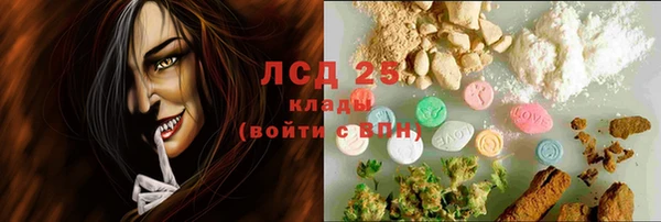 сатива Белокуриха
