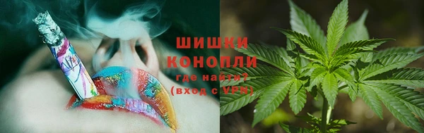 ГАЛЛЮЦИНОГЕННЫЕ ГРИБЫ Белоозёрский