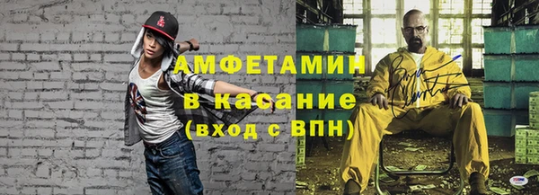 сатива Белокуриха