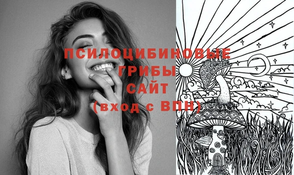 сатива Белокуриха