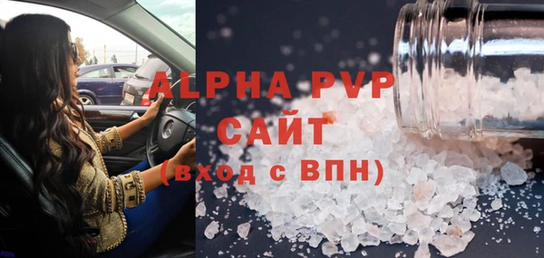 сатива Белокуриха