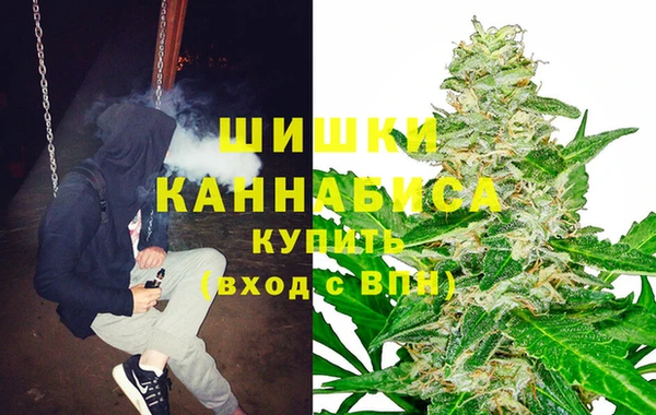 сатива Белокуриха