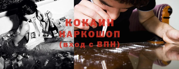 сатива Белокуриха